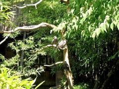 101PARC AUX OISEAUX DANS L AIN 2016 2_000034
